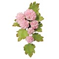 FLORAL CUTTERS - S/M/L CARNATION SET OF 3
