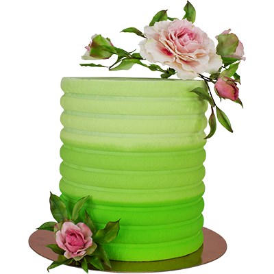 SIDE SCRAPERS - PATTERNED ACRYLIC SCALLOP (255MM / 10”)