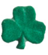 Shamrocks, 8ct