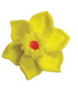 Daffodil Mini Flower, 5ct