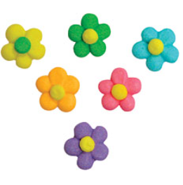 Flower Power 6 CT