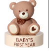 Beary First Year