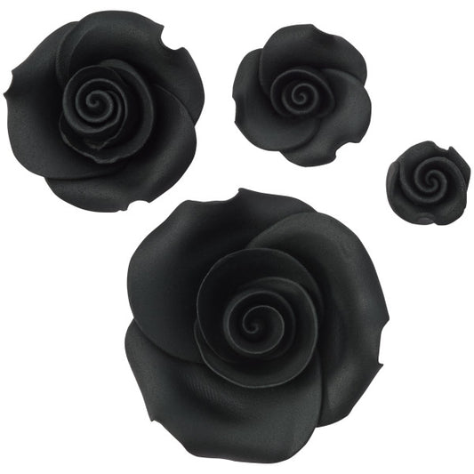 Black Rose flower
