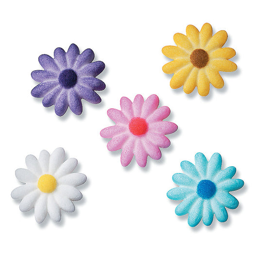 Daisies , 5ct